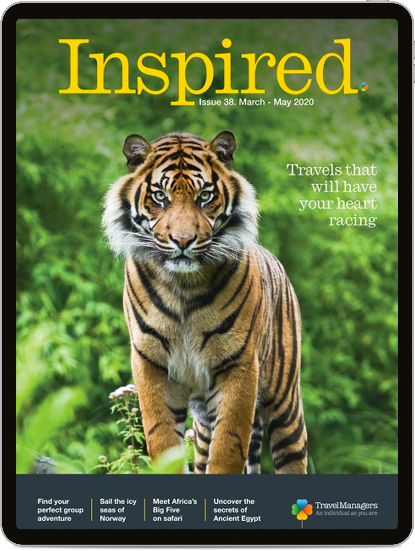 Magazine cover featuring a tiger walking in lush greenery, with text about thrilling travel experiences.